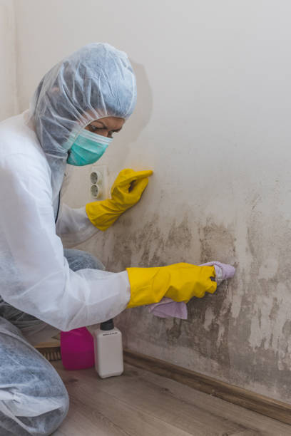 Best Indoor Air Quality Assessment  in Strasburg, OH