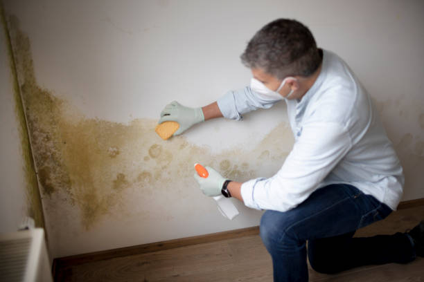 Best Comprehensive Air Testing for Mold Contaminants  in Strasburg, OH