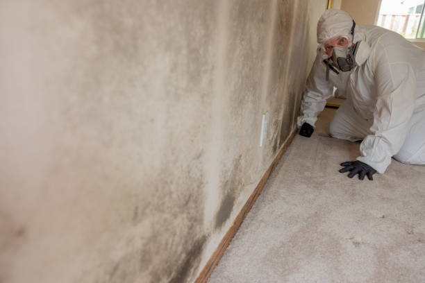 Best Residential Mold Inspection & Testing  in Strasburg, OH